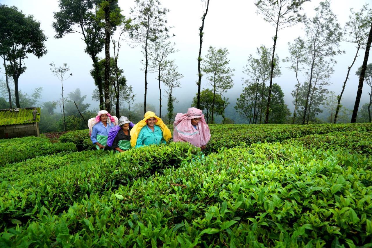 Winter Vale Green Stay Resorts Vagamon Kültér fotó